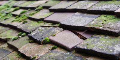 Marks Tey roof repair costs